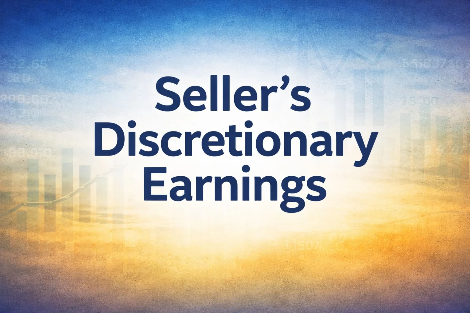 Seller's discretionary earnings SDE